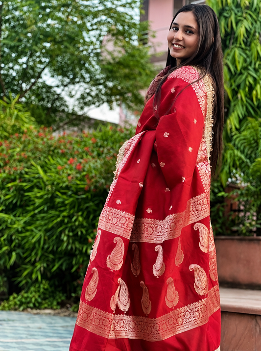 Banarasi Silk Saree with Zari Border