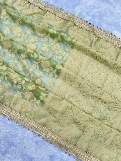 Gulab Jaal Coin Lace Tissue Silk Saree